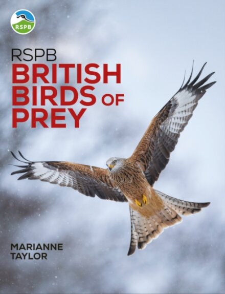 RSPB British Birds of Prey