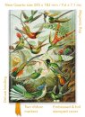 Ernst Haeckel: Hummingbirds (Foiled Quarto Journal)