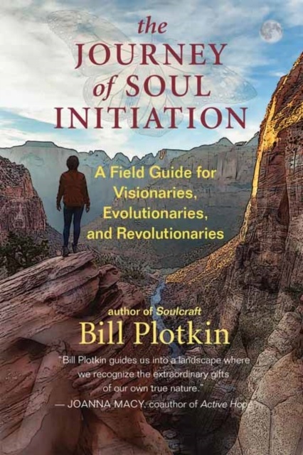 The Journey of Soul Initiation : A Field Guide for Visionaries, Revolutionaries, and Evolutionaries