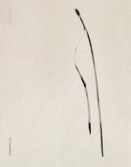 Txema Yeste: Needles