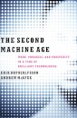The Second Machine Age