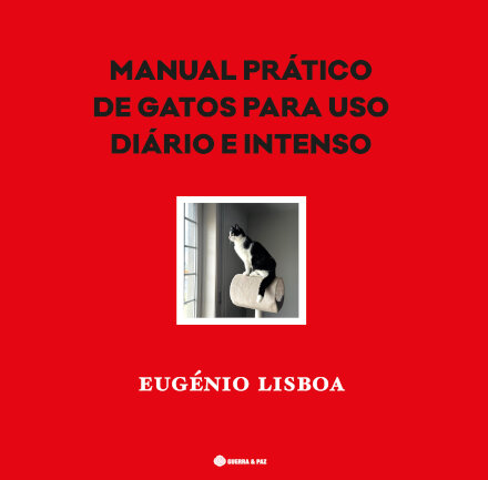Manual Prático De Gatos Para Uso Diário E Intenso