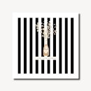 Hodgson Shimmer Fizz