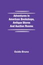 Adventures in American Bookshops, Antique Stores and Auction Rooms