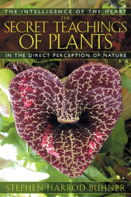 The Secret Teachings of Plants : The Intelligence of the Heart in Direct Perception to Nature