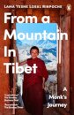 From a Mountain In Tibet