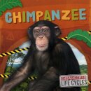 Chimpanzee