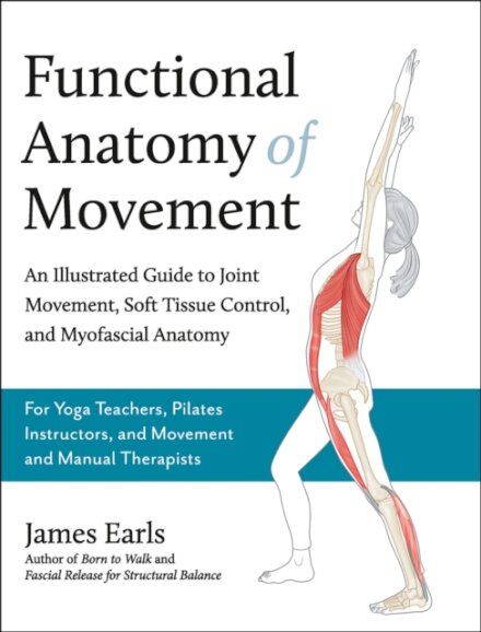 Functional Anatomy of Movement