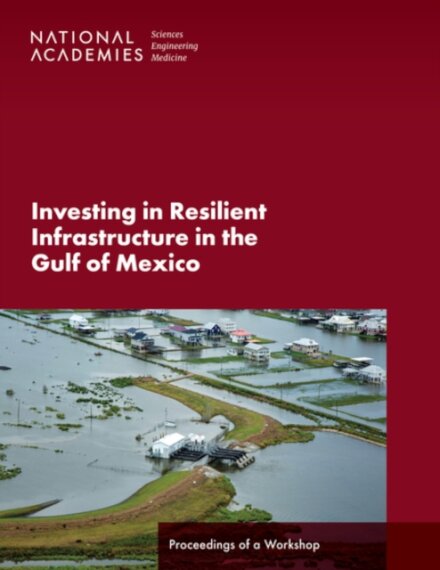 Investing in Resilient Infrastructure in the Gulf of Mexico