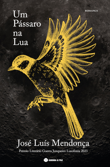 Um Passáro Na Lua
