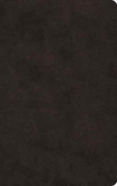 ESV Large Print Value Thinline Bible