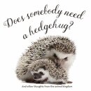 Does Somebody Need a Hedgehug?