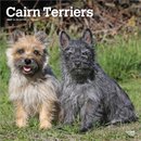 Cairn Terriers 2027 Square Flap