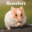 Hamsters Calendar 2026  Square Animal Wall Calendar - 16 Month