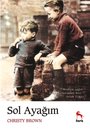 Sol Ayagim