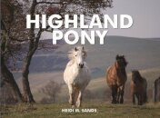 Spirit of the Highland Pony