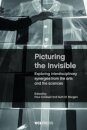 Picturing the Invisible