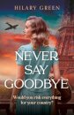 Never Say Goodbye