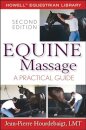 Equine Massage