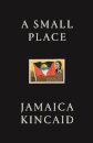 A Small Place
