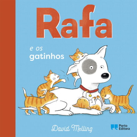 Rafa e os gatinhos