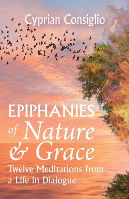 Epiphanies of Nature and Grace: Twelve Meditations from a Life in Dialogue