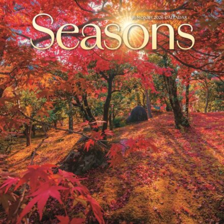 Seasons Square Wall Sunday Start Calenda