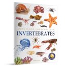 Animals - Invertebrates