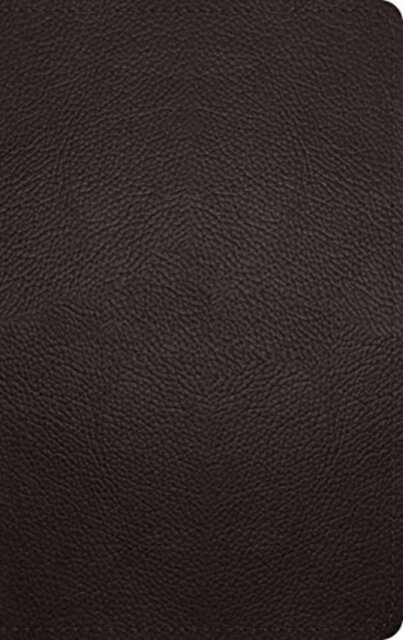 ESV Large Print Personal Size Bible, Red Letter