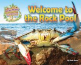 Welcome to the Rock Pool