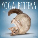 Yoga Kittens 2026 Square Plato Calendar