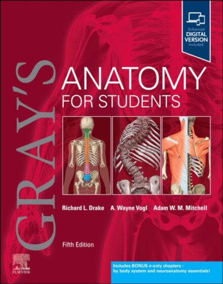 Gray's Anatomy for Students 5th Edition