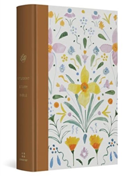 ESV Student Study Bible, Artist Series
