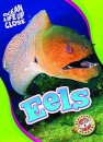 Eels