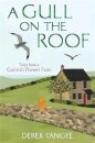 A Gull on the Roof