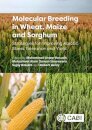 Molecular Breeding in Wheat, Maize and Sorghum