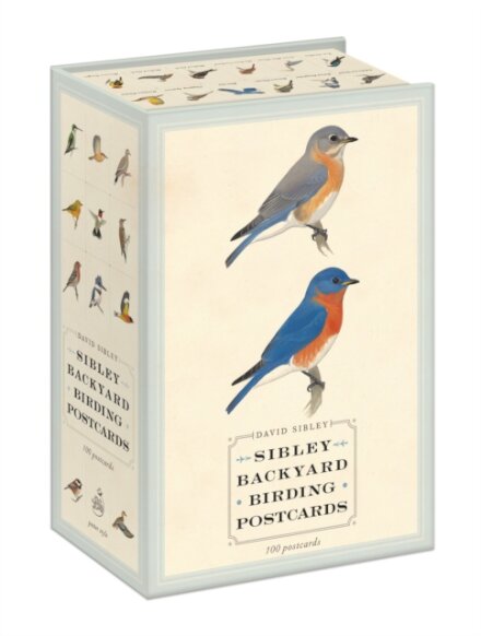 Sibley Backyard Birding Postcards