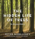 The Hidden Life of Trees