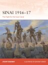 Sinai 1916–17