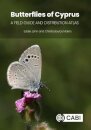 Butterflies of Cyprus
