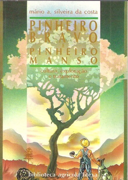 Pinheiro Bravo e Pinheiro Manso