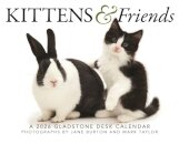 Kittens Friends Box Calendar 2026
