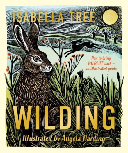 Wilding: How to Bring Wildlife Back - an Illustrated Guide