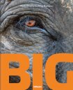 Big