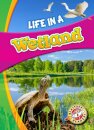 Life in a Wetland