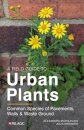 A Field Guide to Urban Plants