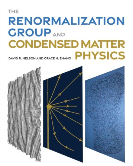 The Renormalization Group and Condensed Matter Physics