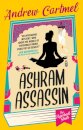The Paperback Sleuth - Ashram Assassin