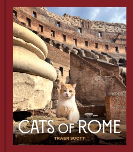Cats Of Rome