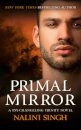 Primal Mirror